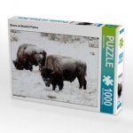 Bisons am Blacktail Plateau (Puzzle)
