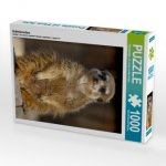 Erdmännchen (Puzzle)