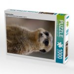 Erdmännchen (Puzzle)