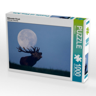 CALVENDO Puzzle Röhrender Hirsch 1000 Teile Lege-Größe 64 x 48 cm Foto-Puzzle Bild von Wilfried Martin