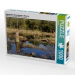 Abgestorbene Baumstümpfe im Moorsee im Pietzmoor Schneverdingen, 1000 Teile