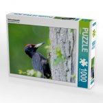 Schwarzspecht (Puzzle)