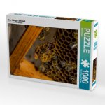 Eine Königin Schlüpft (Puzzle)