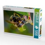 Hummel auf Geißblatt (Puzzle)