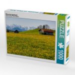 Wiese bei Agathazell (Puzzle)