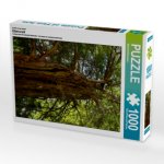 Ein Motiv aus dem Kalender Eibenwald (Puzzle)