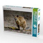 Wallaby - Südaustralien (Puzzle)