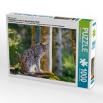 Ein Motiv aus dem Kalender Faszination Luchs im Bayerischen Wald (Puzzle)