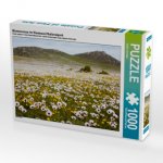 Blumenwiese im Westcoast Nationalpark (Puzzle)