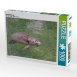 Karibik-Manati (Puzzle)