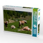 Haflinger Pferde in Rein in Taufers (Puzzle)