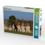 Ein Motiv aus dem Kalender Faszination Collie 2017 (Puzzle)