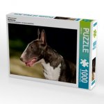 Ein Motiv aus dem Kalender Bullterrier (Puzzle)