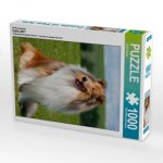 Ein Motiv aus dem Kalender Collie 2017 (Puzzle)