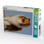 Ein Motiv aus dem Kalender Collie 2017 (Puzzle)