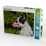 Französische Bulldogge (Puzzle)