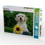 Golden Retriever (Puzzle)
