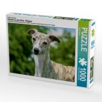 Ein Motiv aus dem Kalender Schnell wie der Wind - Whippet (Puzzle)