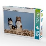 Ein Motiv aus dem Kalender Wir lieben Shelties (Puzzle)