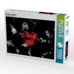 Auf Rosen gebettet. (Puzzle)