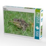 Erdkröte (Puzzle)