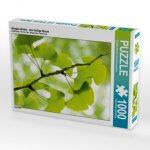 Gingko biloba - der Heilige Baum (Puzzle)
