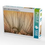 Labyrinth - Tropfen in den Fallschirmsamen (Puzzle)
