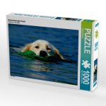 Schwimmender Hund (Puzzle)