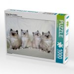 Heilige Birma Katzen (Puzzle)