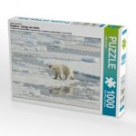 Ein Motiv aus dem Kalender Eisbären - Könige der Arktis (Puzzle)