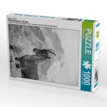 Ein Motiv aus dem Kalender Wilde Bergwelt in Europa (Puzzle)