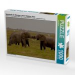 Spielstunde der Elefanten in freier Wildbahn. Kenia (Puzzle)