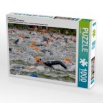 Schwimmen im Main beim Kitzinger Mainfrankentriathlon, 1000 Teile