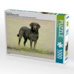 Ein Motiv aus dem Kalender Labrador Retriever 2017 (Puzzle)
