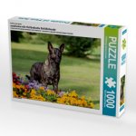 Ein Motiv aus dem Kalender ausdrucksvolle Holländische Schäferhunde (Puzzle)