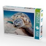 Portrait Unterwasserschildkröte (Puzzle)