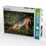 Mittagessen Schakal (Puzzle)