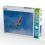 Sakerfalke (Puzzle)