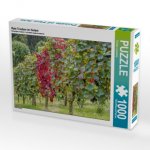 Rote Trauben im Herbst (Puzzle)