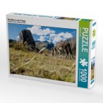 Bouldern in der Pampa (Puzzle)