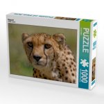 Gepard (Puzzle)