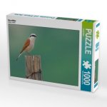 Neuntöter (Puzzle)
