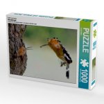 Ein Motiv aus dem Kalender Wiedehopf (Puzzle)