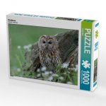Waldkauz (Puzzle)