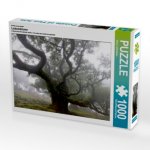 Ein Motiv aus dem Kalender Lorbeerbäume (Puzzle)