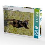 Rennender Mischlingshund (Puzzle)