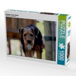 Airedale Terrier Welpe (Puzzle)