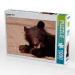 Kragenbär Baby (Puzzle)