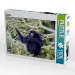 Siamang (Puzzle)