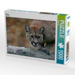 Puma (Puzzle)